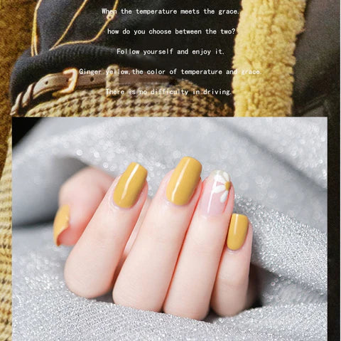 Complete Nail Extension Kit - Gel, Polish & Acryl Gereedschapsset