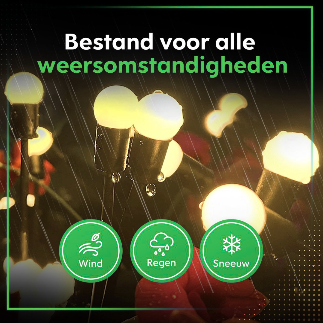 Zonnevlam tuinverlichting