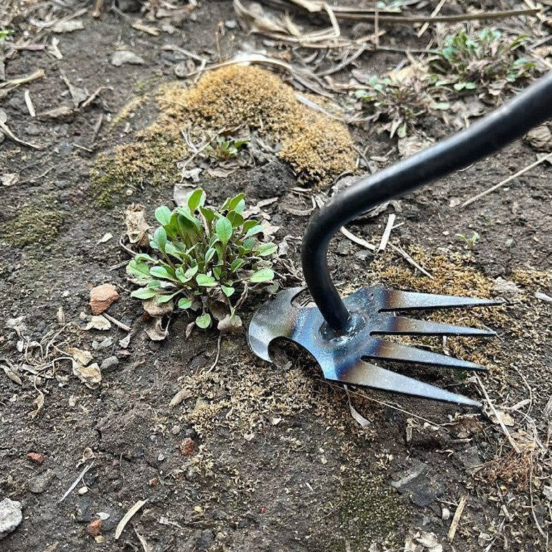 Handzaam onkruidbestrijdingsgereedschap – Tuinonkruidverwijderaar