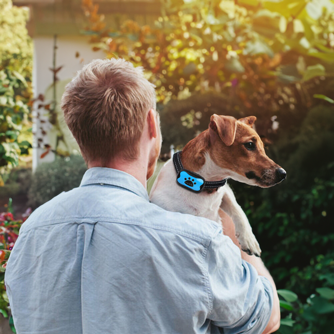 Geen Schok Blaf Halsband - Veilige Hondentraining