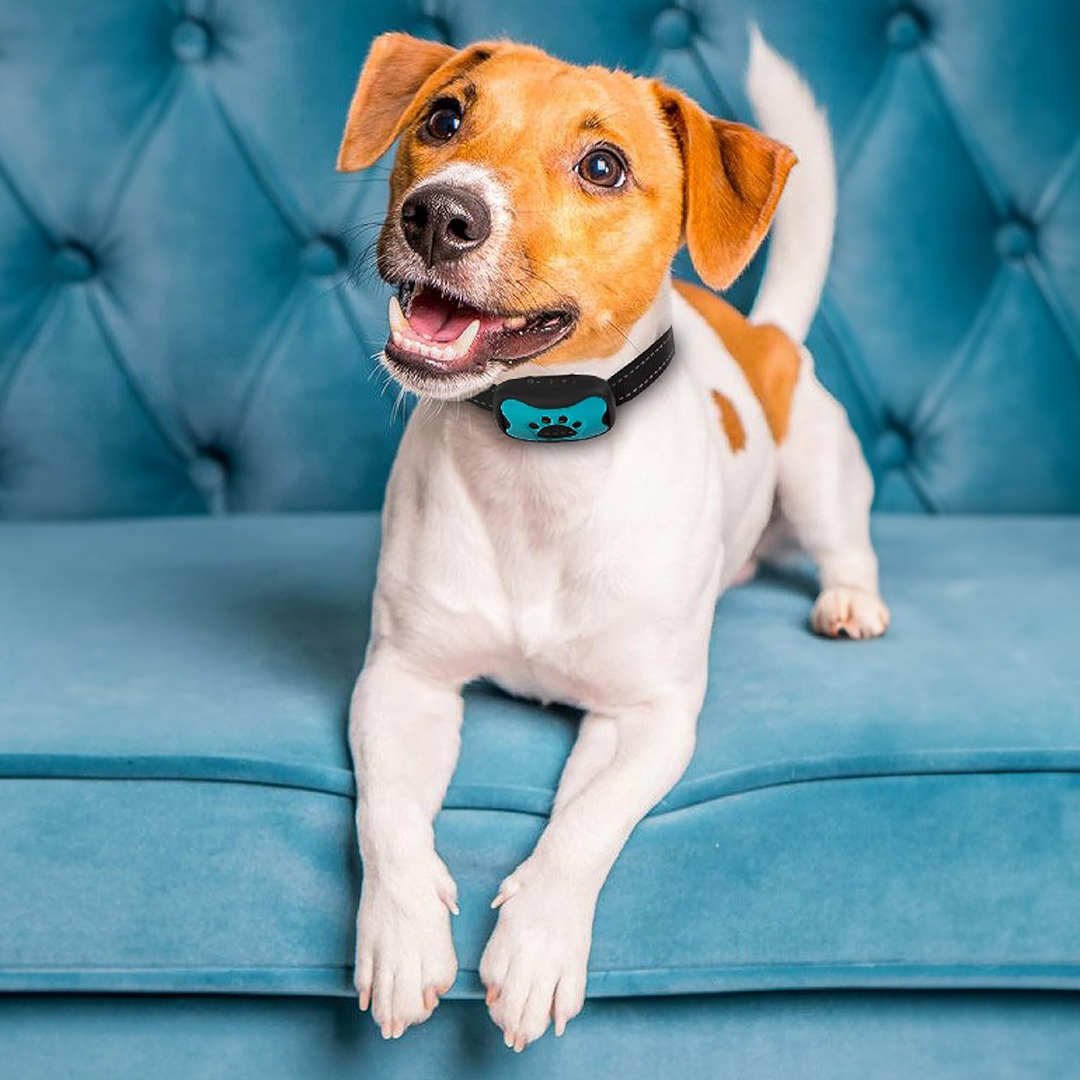 Geen Schok Blaf Halsband - Veilige Hondentraining