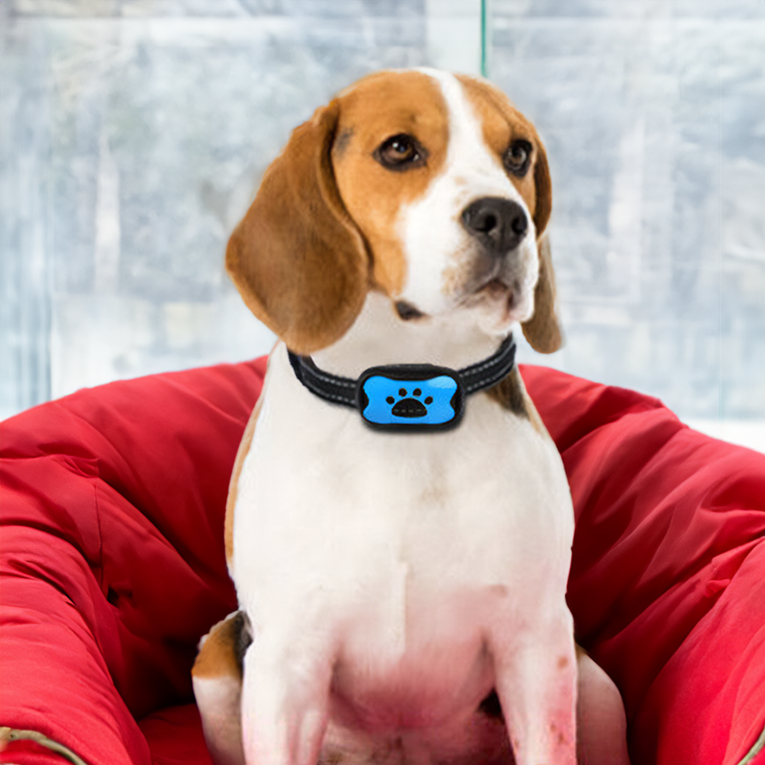 Geen Schok Blaf Halsband - Veilige Hondentraining