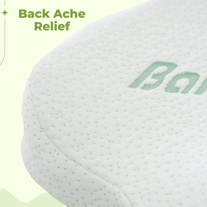 Rug- en zitkussen – Lendensteun van traagschuim voor stoelen