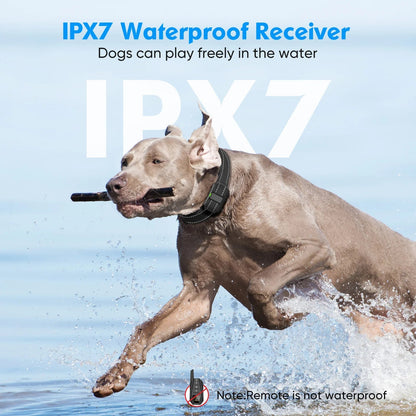 1000 m afstandsbediening anti-blaf hondenhalsband – oplaadbaar en veilig