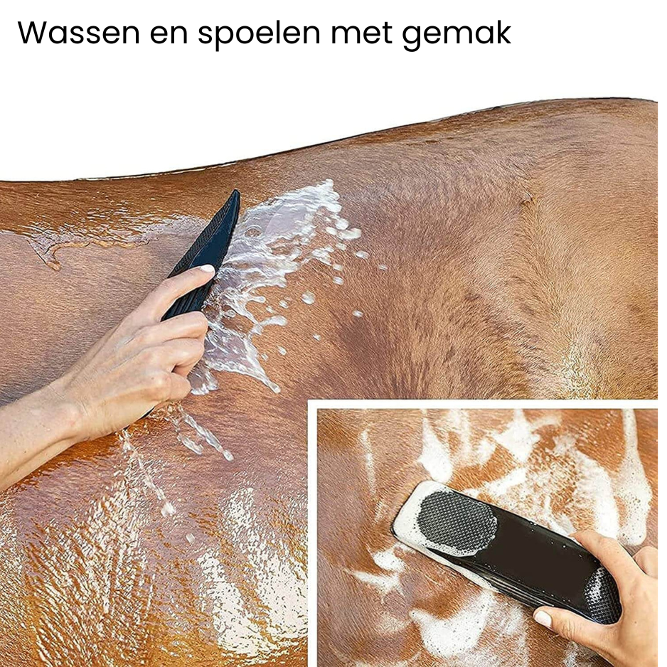 6 in 1 paardenborstel