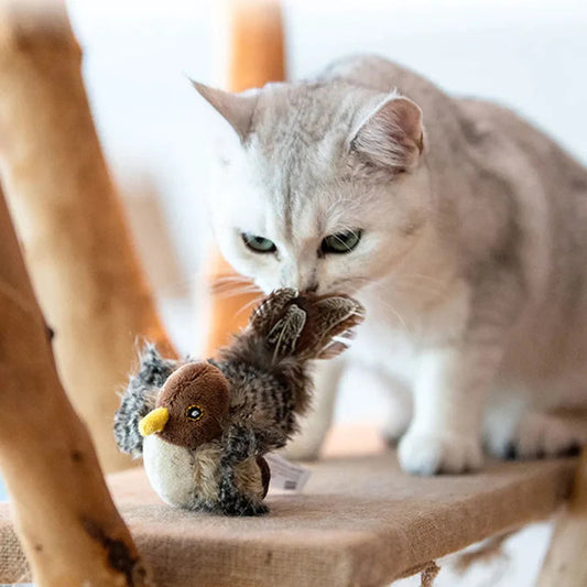 Interactief Gesimuleerd Tjilpend Vogeltje Kattenspeeltje - Realistisch Geluid & Oplaadbaar Plezier