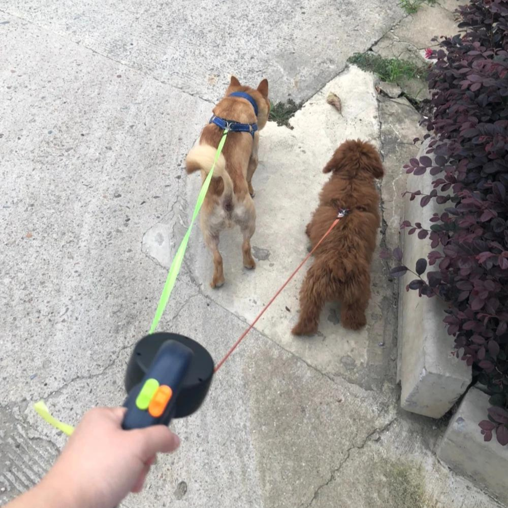 Dubbele, intrekbare hondenriem met LED-lampje - Dubbele hondenriem voor veilig, handsfree wandelen